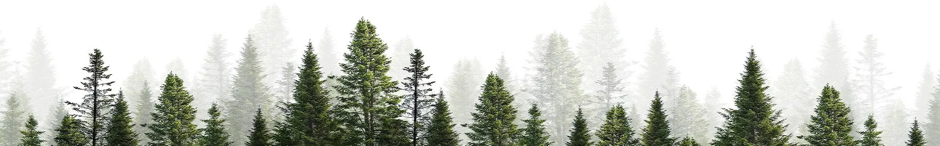AdobeStock_300871085-1-1